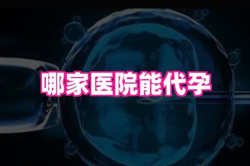 深圳助孕网站 2
